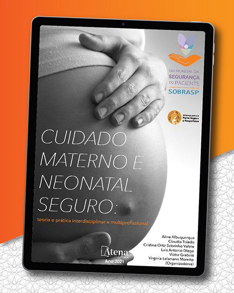 E-book Cuidado materno e neonatal seguro: teoria e pr�tica interdisciplinar e multiprofissional